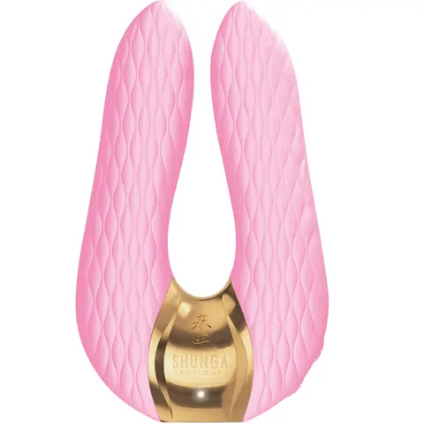 Aiko Intimmassager Rosa
